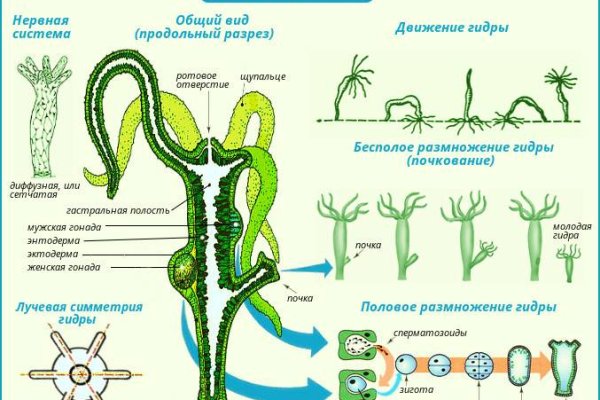 Ссылки сайтов даркнета