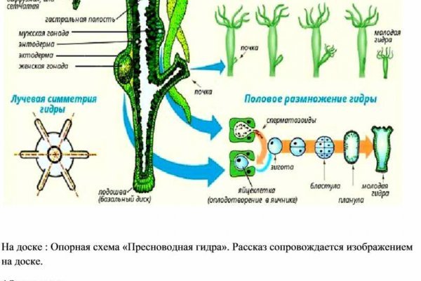 Кракен даркнет ссылка зеркало